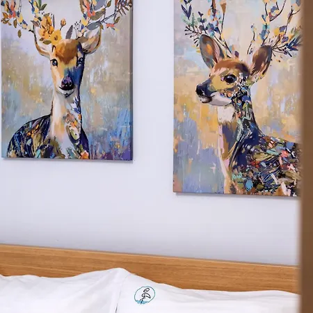 White Flamingo Appartement *